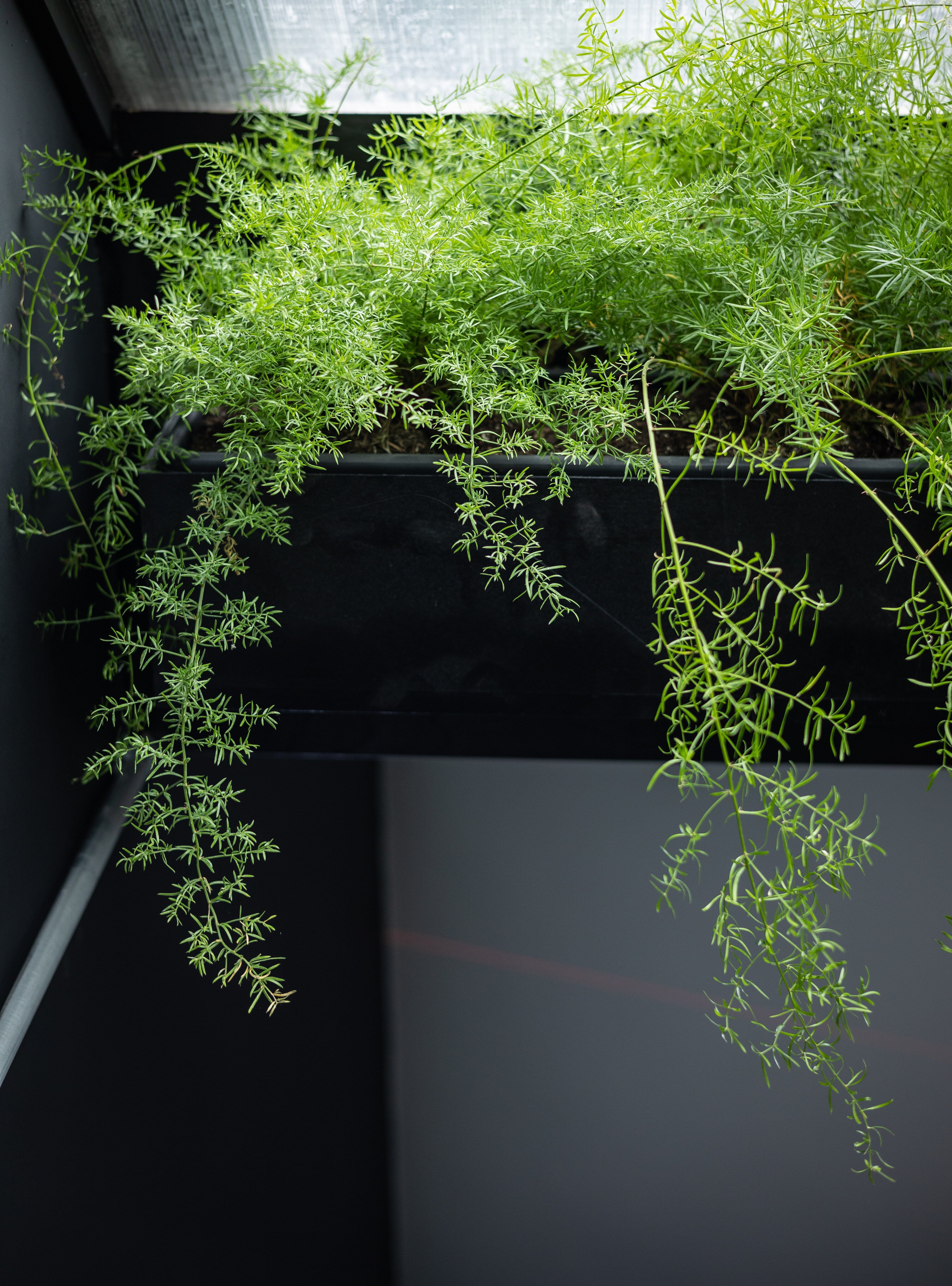 Bristol photographer 299 Rebecca Faith Photo-1005