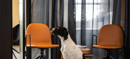 Bristol photographer 299 Rebecca Faith Photo-1054 (1)